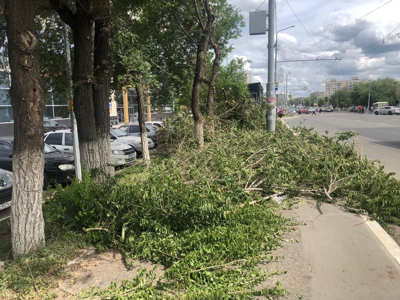 Оренбургские чиновники не справились с травой