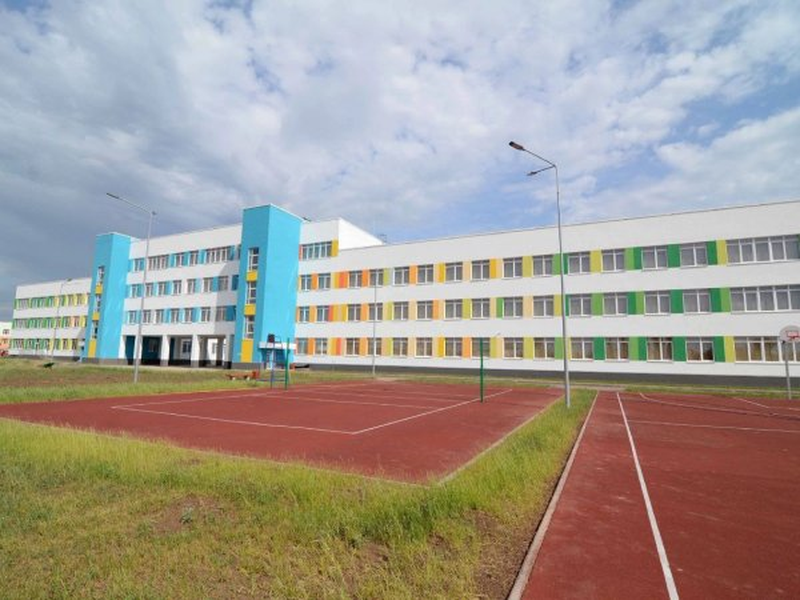 Как в школе за миллиард появилась плесень