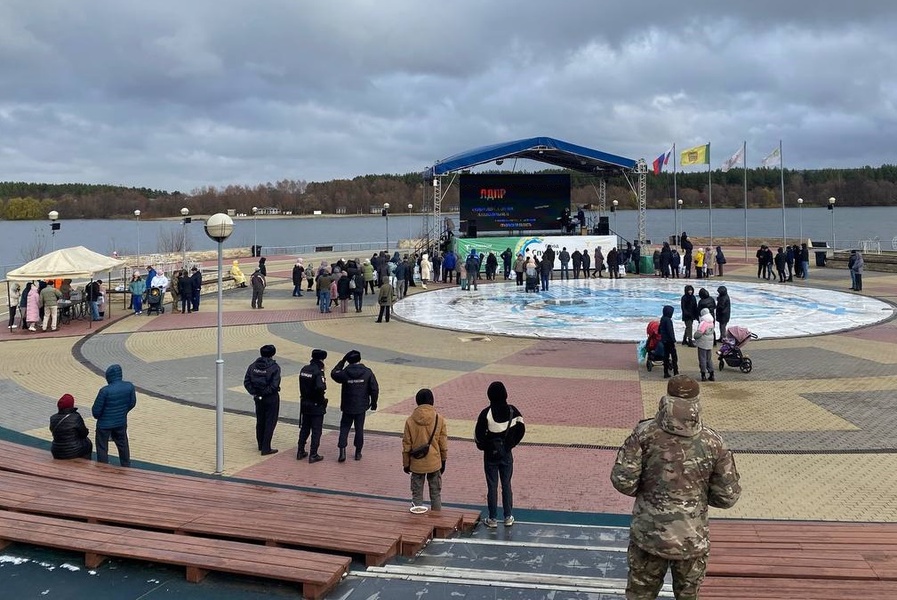 Активисты пензенской ЛДПР отметили День народного единства