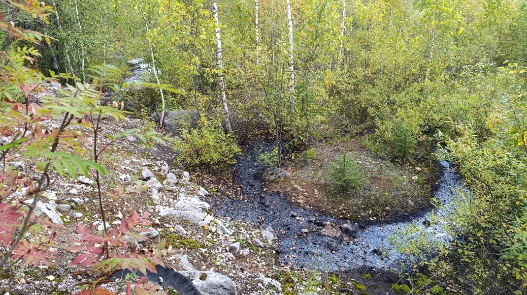 Очередная экологическая угроза на территории Пермского края