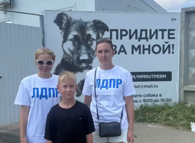 Активисты ЛДПР посетили муниципальный приют в День защиты бездомных животных