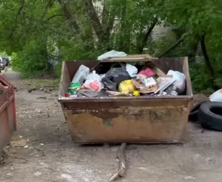 ЛДПР проверила проблемные контейнерные площадки Перми в День охраны окружающей среды
