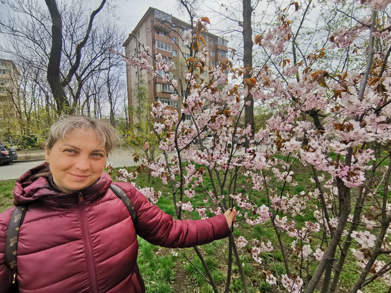 «Сады памяти» создают в преддверии Дня Победы в Приморье