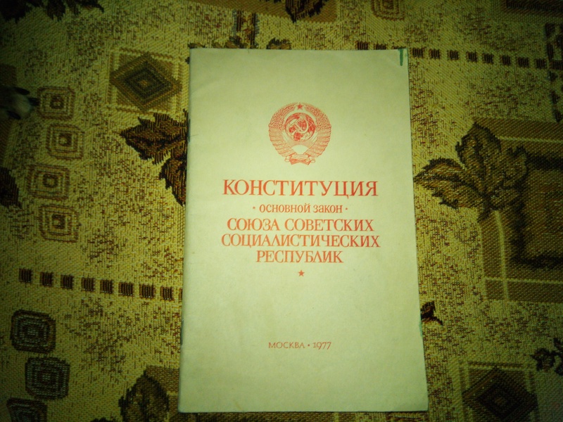 Елена Афанасьева: менять Конституцию нужно с умом
