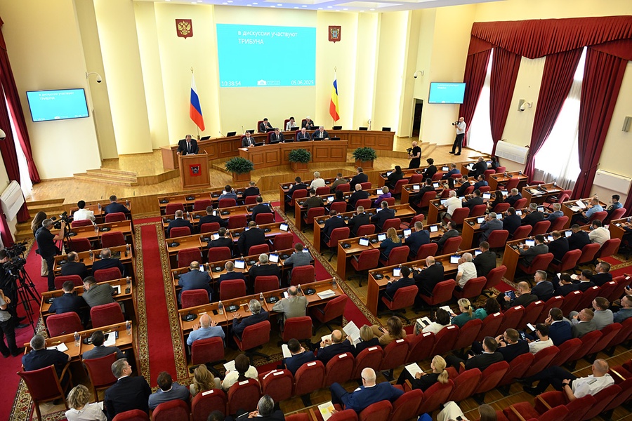 Депутаты утвердили отчёт об исполнении бюджета Ростовской области за 2024 год