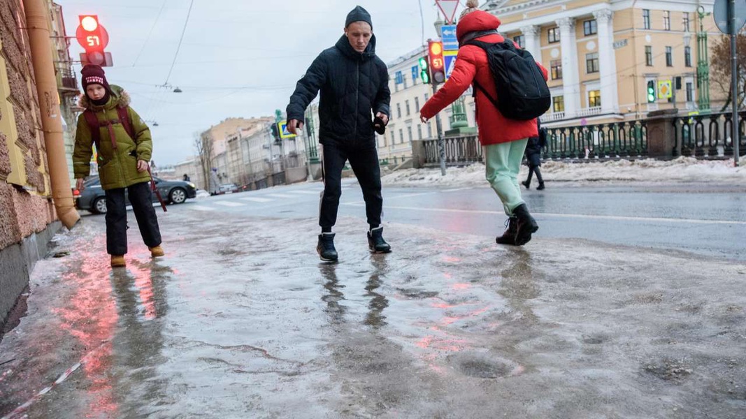 В ЛДПР предложили переводить работников на дистанционку при снегопаде и гололеде