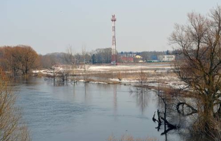 Рыбновцы обратились в ЛДПР по факту очередного загрязнения реки Вожа