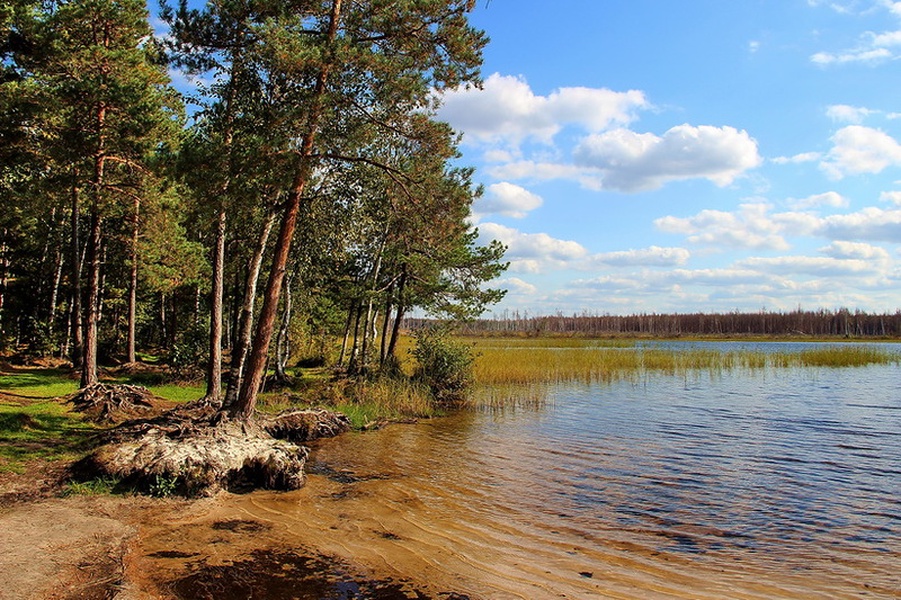 Озеро уржинское рязань фото