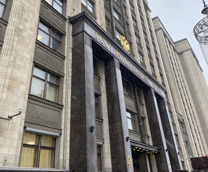 Введение института «общественных наставников» для сирот