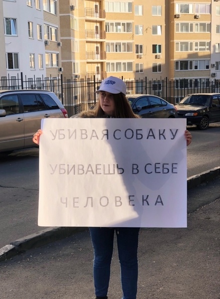 Пикет против жесткого обращения с животными