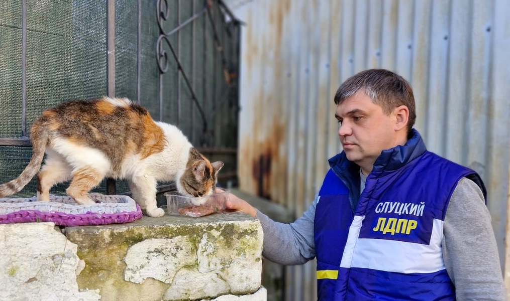 Добрые дела ЛДПР в Севастополе в Международный день кошек 