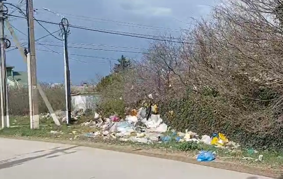 Экоконтроль в деле: ЛДПР продолжает экологические рейды