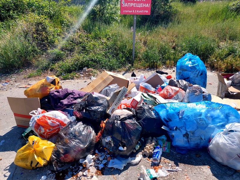 ЛДПР в Севастополе проводит очередную проверку в рамках экологического контроля 