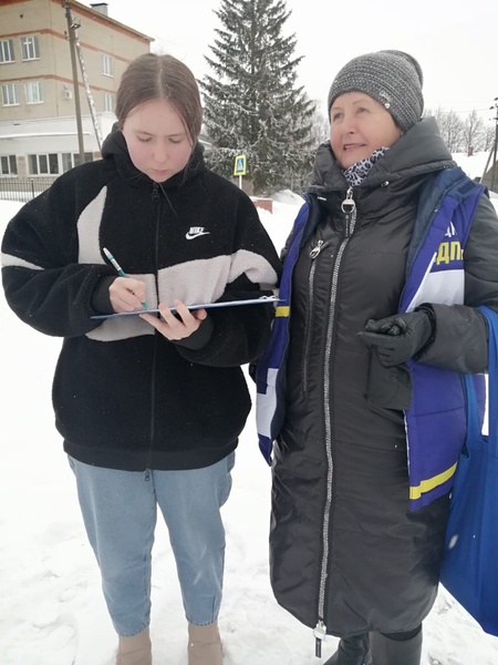 ЛДПР в Починке проводит опрос "Скажи правду Слуцкому"