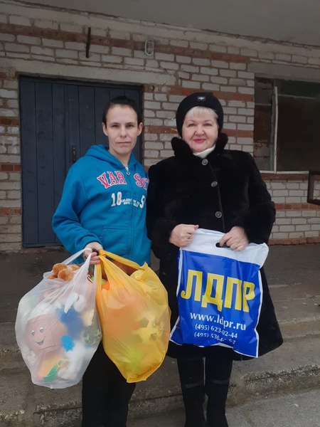 ЛДПР в Ельнинском районе организовала сбор игрушек для детей из малоимущих семей