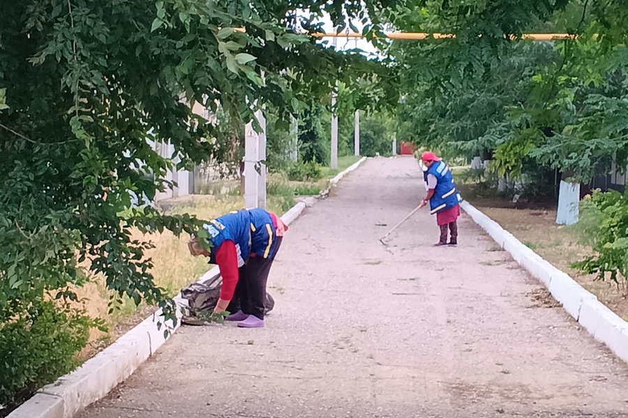 Субботник как политика: ЛДПР в Арзгире выбрала грабли вместо лозунгов
