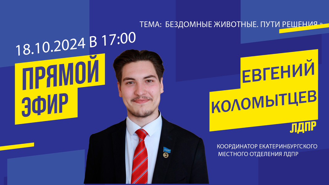 Анонс прямого эфира на тему: «Бездомные животные. Пути решения»