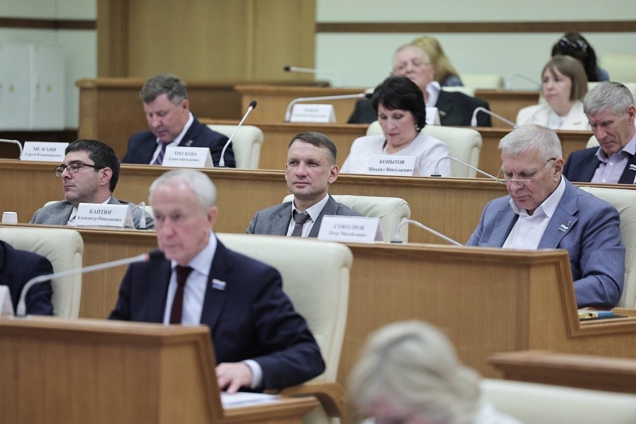 Депутаты ЛДПР приняли участие в заседании "Депутатской вертикали" 
