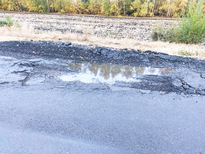 К бюджетной политике тамбовских властей у ЛДПР есть вопросы