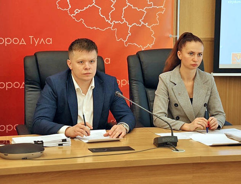 Депутаты ЛДПР Тульской гордумы приняли участие в работе профильных комитетов