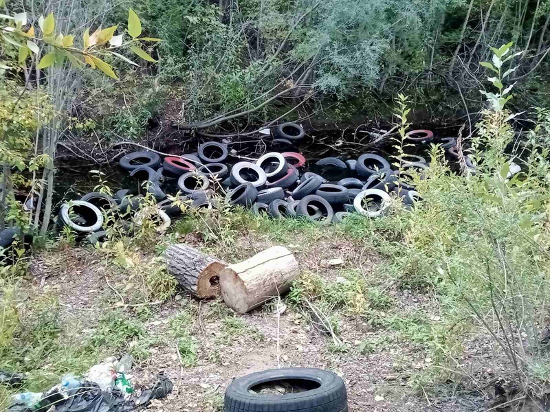ЛДПР за экологию и безопасность