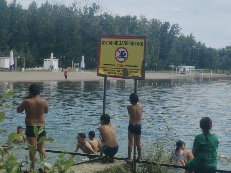 «Рейды «ЛДПР за экологию и безопасность!»