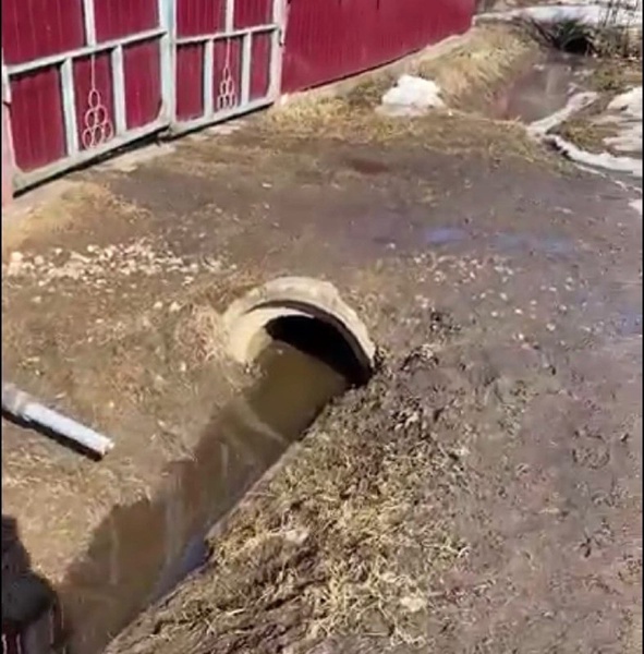 И Ноев ковчег не поможет