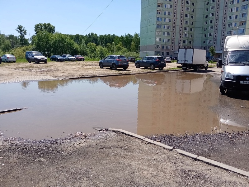 ЛДПР проинспектировала «бассейн», выросший в центре двора в Твери 