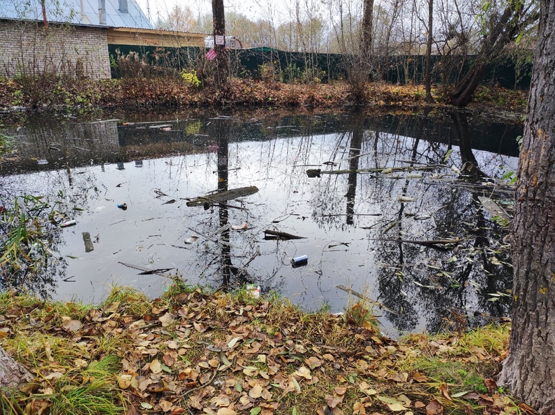 ЛДПР высказалась против загрязнения водоёмов Торжка