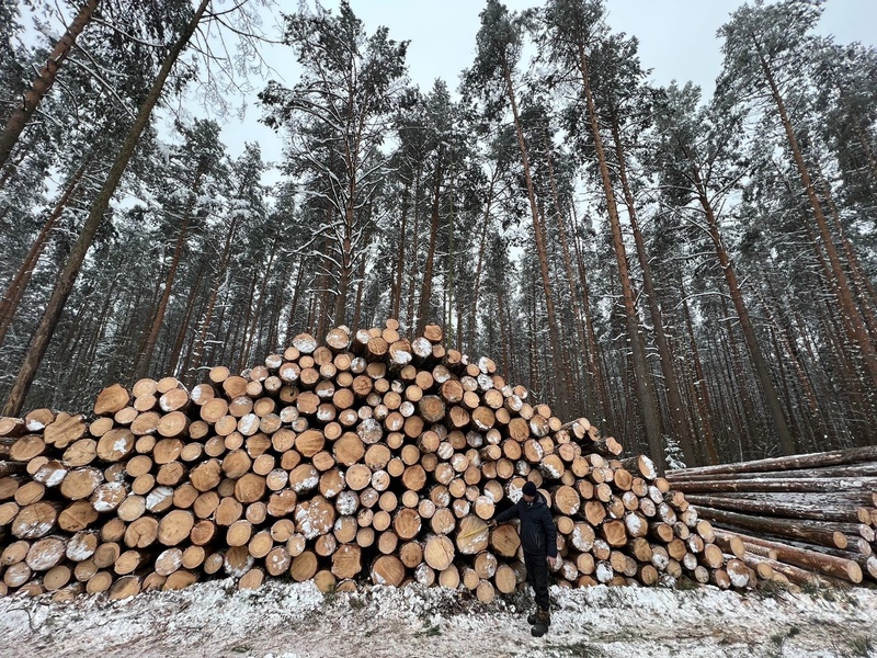 ЛДПР встала на защиту леса