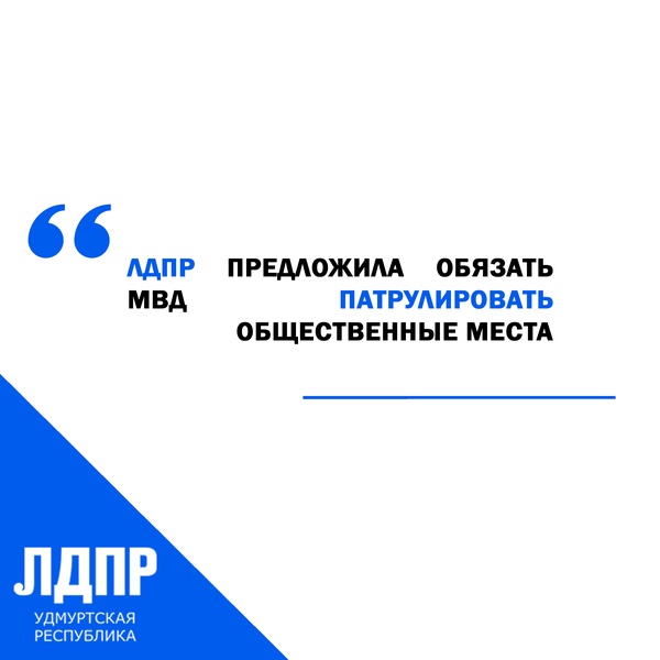 ЛДПР в Удмуртской Республике считает, что необходимо патрулировать общественные места