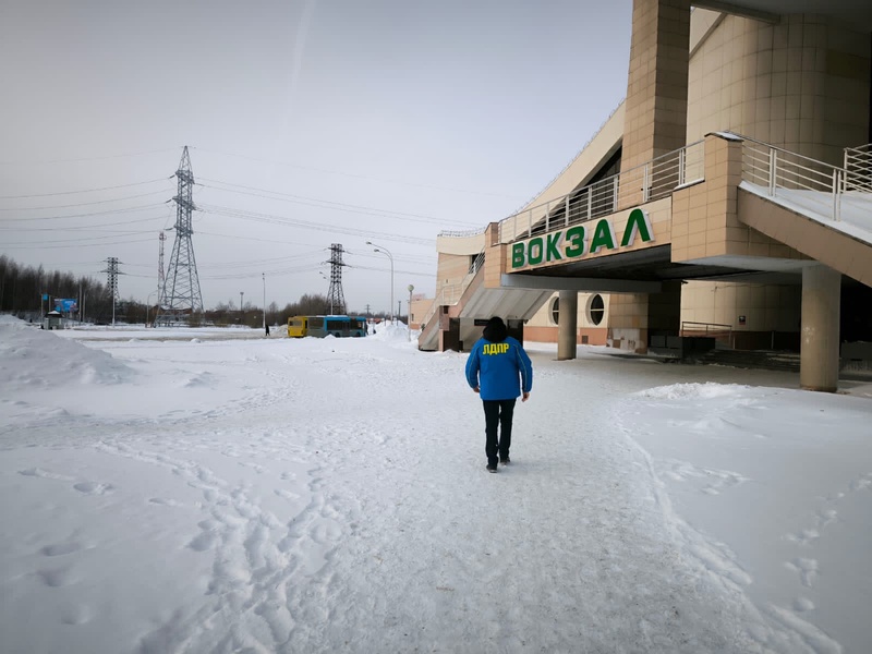 Партийный патруль в Нижневартовске выехал по сигналу о безнадзорных животных 