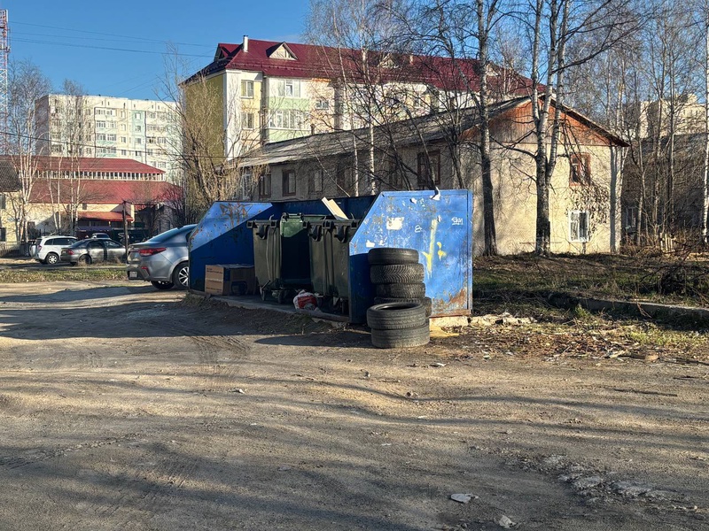 Активисты ЛДПР в Мегионе проверили места сбора мусора 
