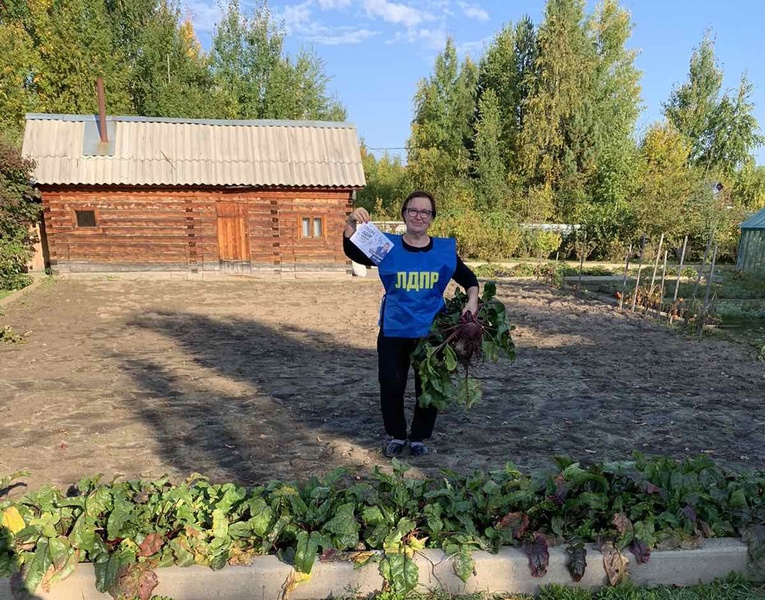 В Урае собирают урожай, выросший из набора семян "Грядка ЛДПР"