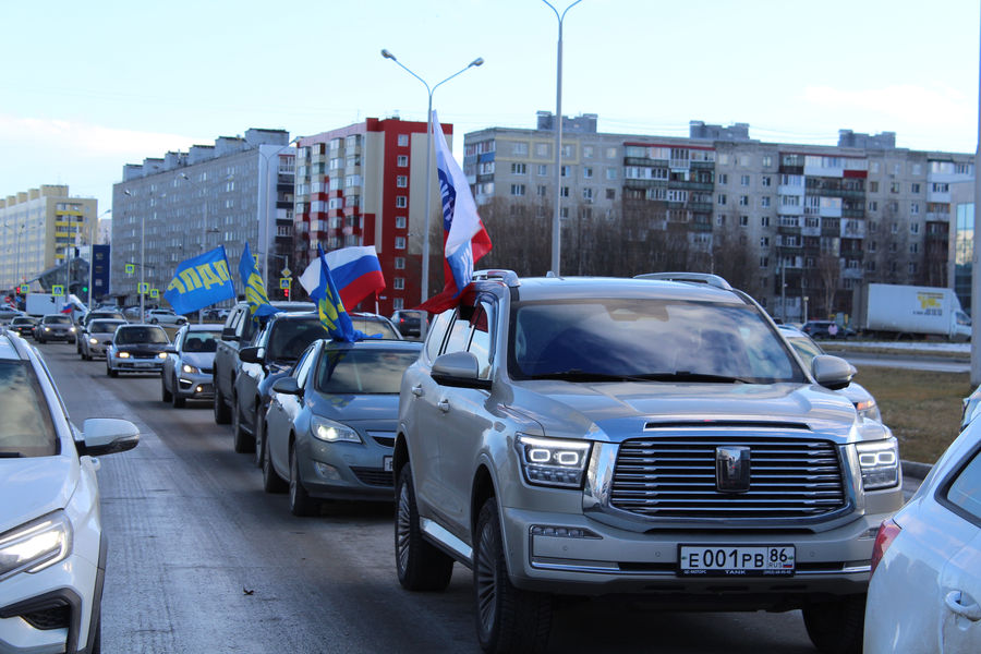 День народного единства. Аналитика ЛДПР