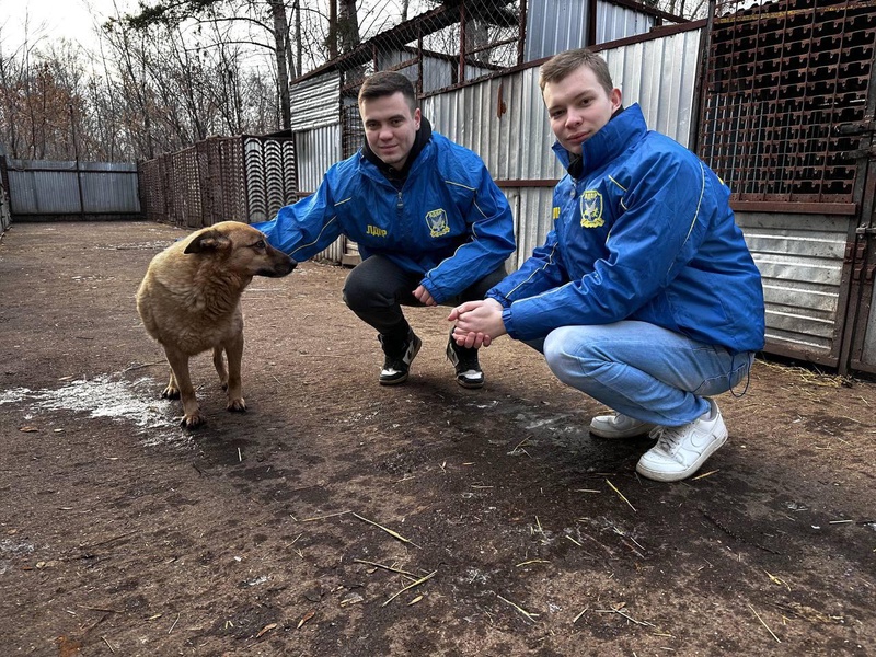 Доброе дело от ЛДПР: помощь приюту "Лапа помощи" в День домашних животных