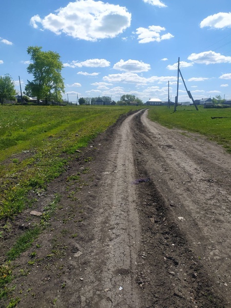 С помощью ЛДПР в селе Богдашкино Цильнинского района вскоре появится новая дорога