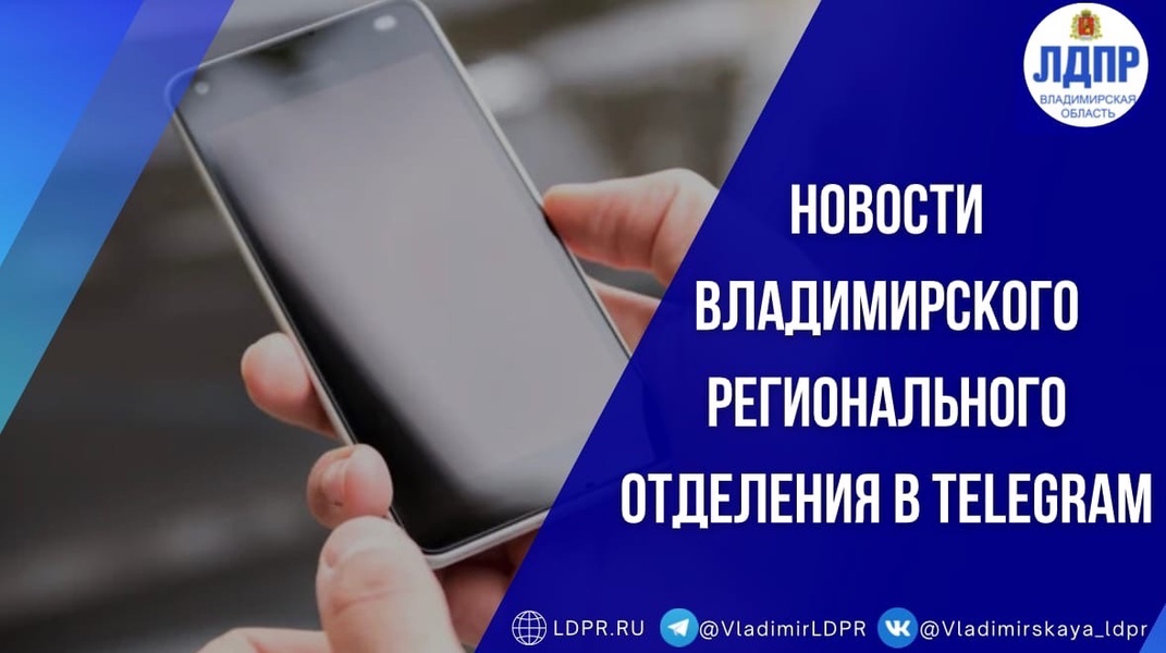 Владимирское региональное отделение ЛДПР доступно в мессенджере Telegram.