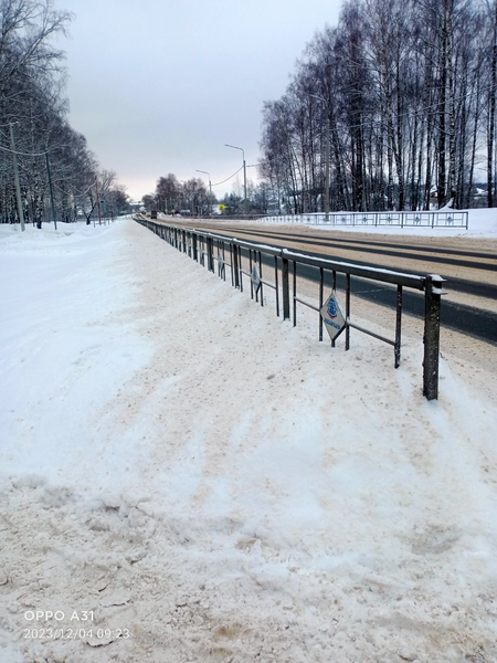 Жителей Владимира завалило снегом, а городская администрация почему-то бездействует