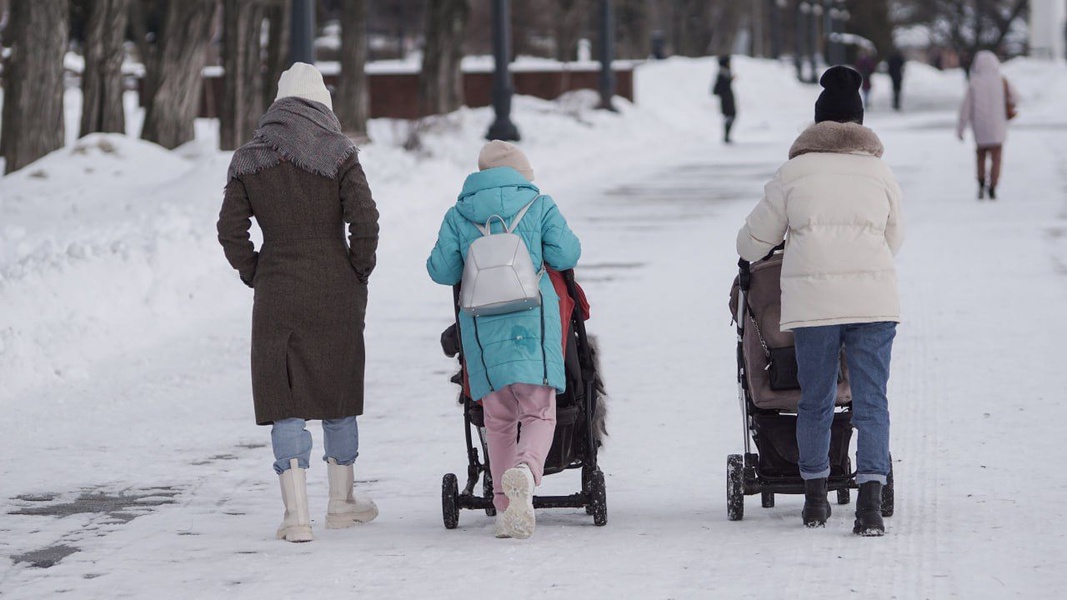 В Волгоградской области успешно стартовала программа «Социальная няня»