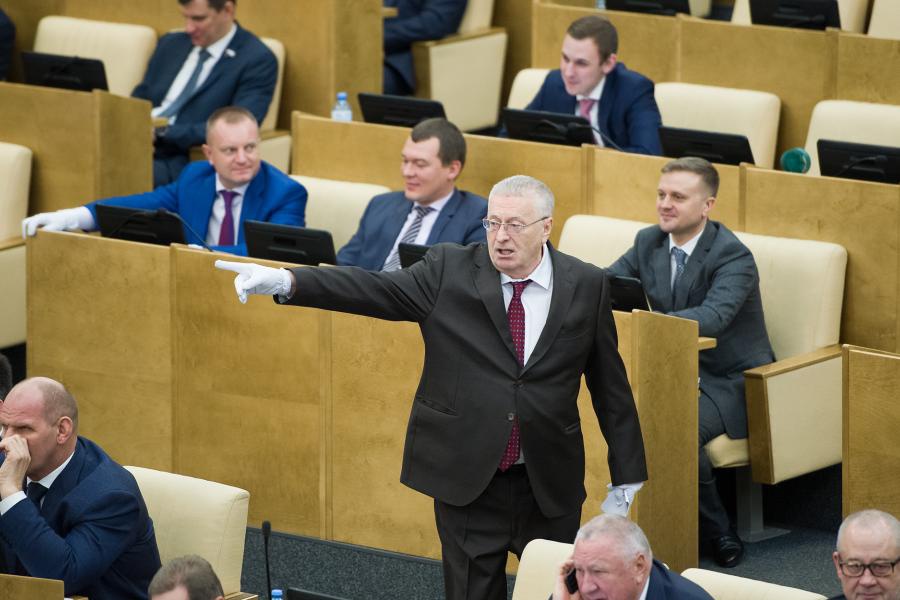 Выступления в госдуме