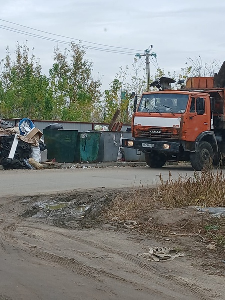 Ситуация с мусорными баками по адресу Лесная, 38а, Семилуки, взята под контроль