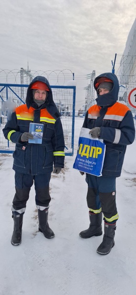 Активисты Якутского реготделения ЛДПР поздравили энергетиков