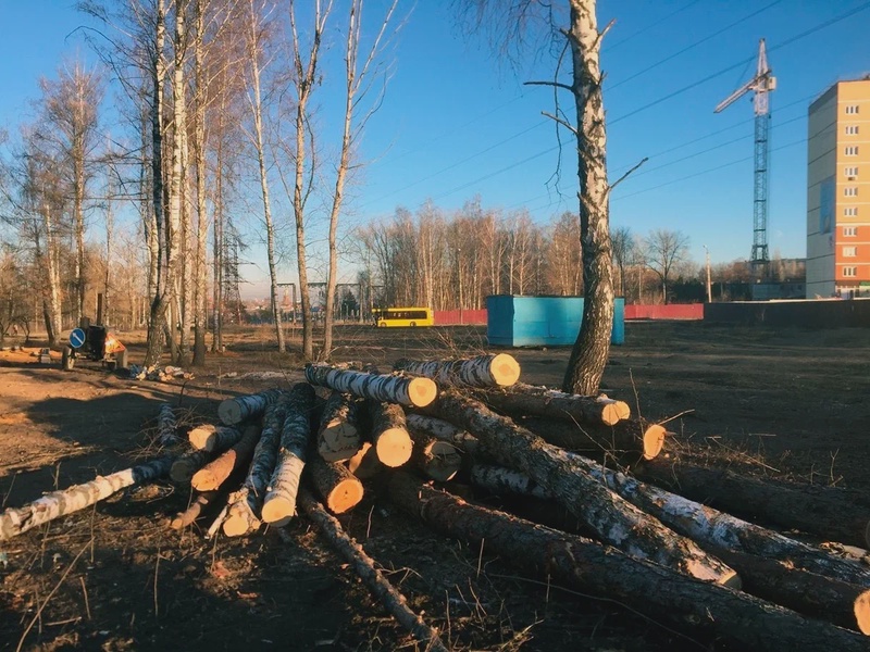 В ЛДПР убеждены, что нужно защитить городские леса