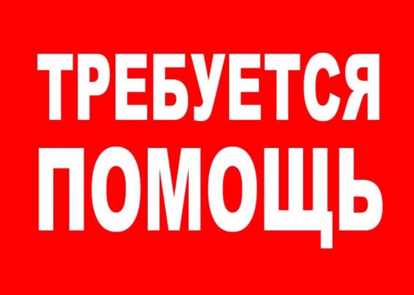 Нужна помощь. Требуется помощь. Внимание нужна помощь. Прошу помощи.