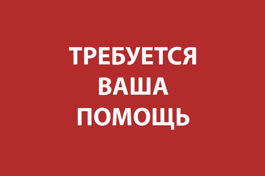 Требуются родители. Требуется помощь. Нужна ваша помощь. Требуется ваша помощь. Помогите картинка.